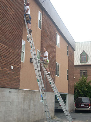 Window cleaning work